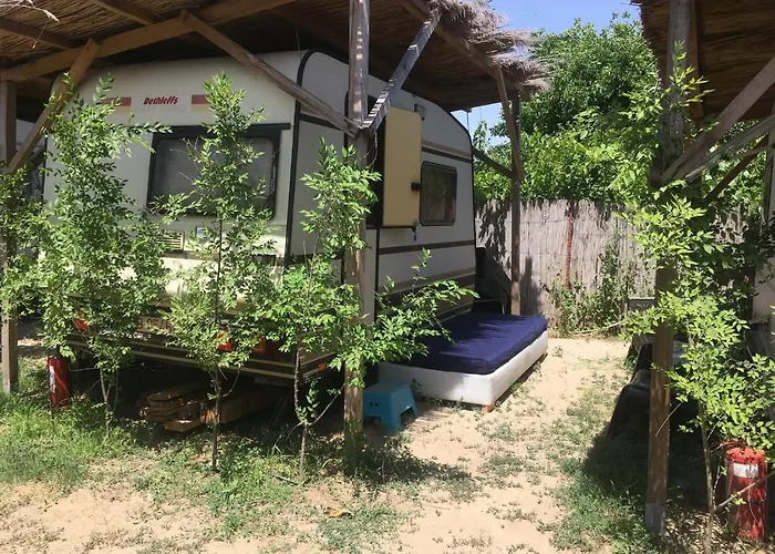 Oz 2mai * دووا مايْ