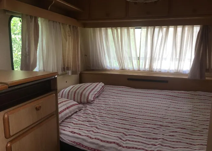 Oz 2mai * دووا مايْ